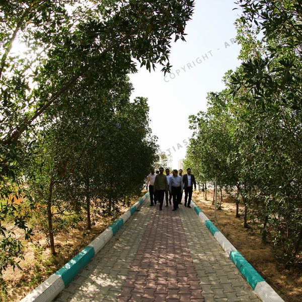 عکاسی تبلیغاتی هکاهلث در اهواز